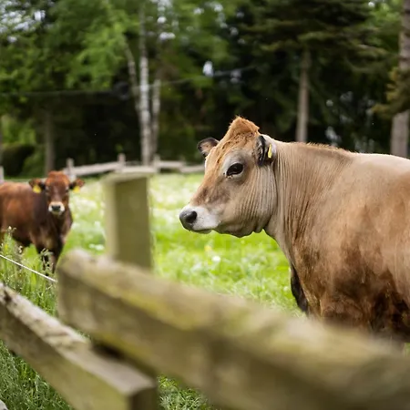 Schulte-goebel Апартаменты Шмалленберг