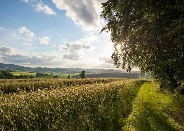 Schulte-goebel * Schmallenberg
