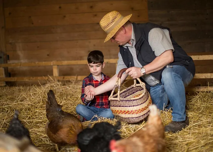 Schulte-goebel * Schmallenberg