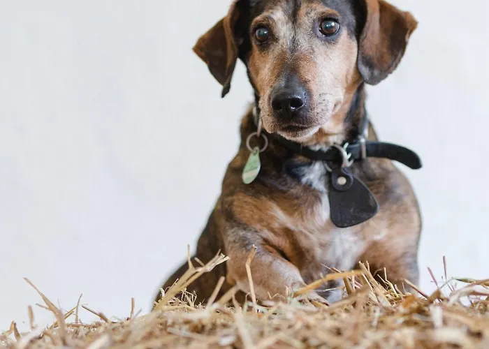 Διαμέρισμα Schulte-goebel Schmallenberg